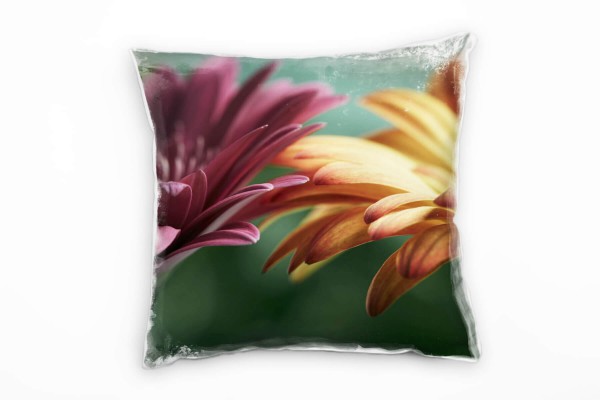Macro, Blumen, Blütenblätter, orange, pink, grün Deko Kissen 40x40cm für Couch Sofa Lounge Zierkisse
