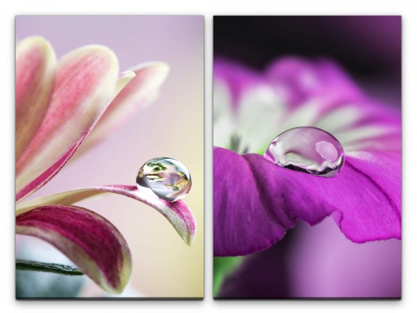 2 Bilder je 60x90cm Blumen Wassertropfen Blüten Viellot Makro Sommer Makrofotografie