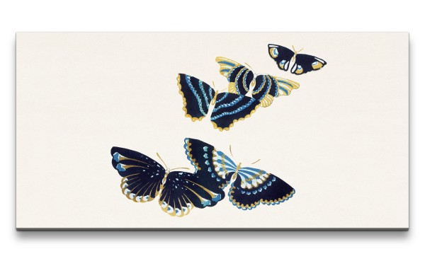 Remaster 120x60cm Kamisaka Sekka traditionelle japanische Kunst Schmetterlinge