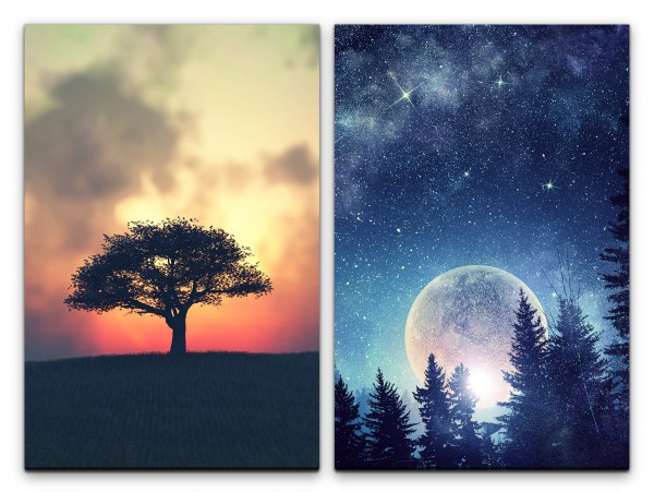 2 Bilder je 60x90cm einsamer Baum Vollmond Tannenwald Sterne Nachthimmel Mystisch Zauberhaft