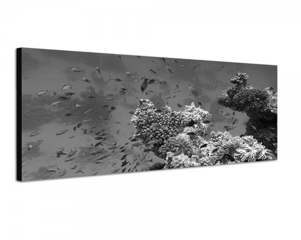 150x50cm Meer Riff Korallen Fische