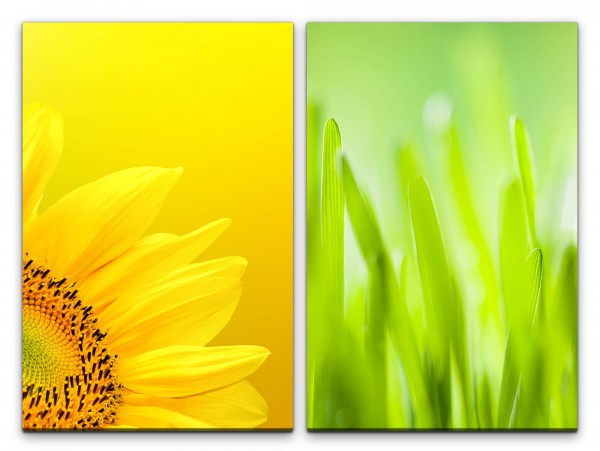 2 Bilder je 60x90cm Sonnenblume Gelb Grass Sonnenschein Wiese Grün Makro