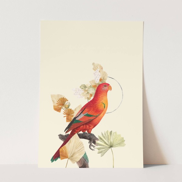 Vogel Motiv roter Wellensittich Pastelltöne Exotisch Kunstvoll