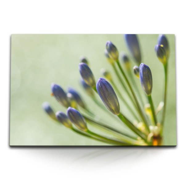120x80cm Wandbild auf Leinwand Makrofotografie Blume Blüte Grün Blau Lilie