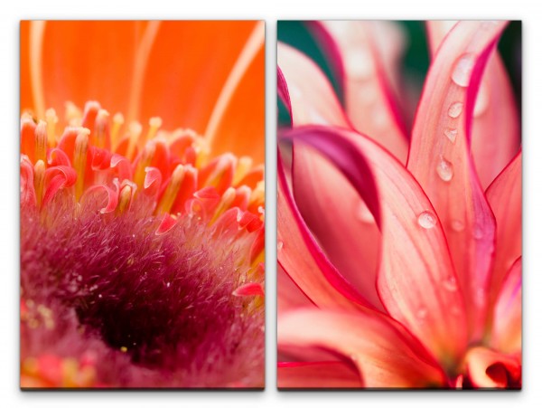2 Bilder je 60x90cm Blumen Blüten Rot Rosa Regentropfen Dekorativ Makrofotografie