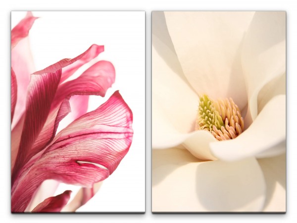 2 Bilder je 60x90cm Blumen Weiß Rot Blüten Makro Nahaufnahme Fotokunst