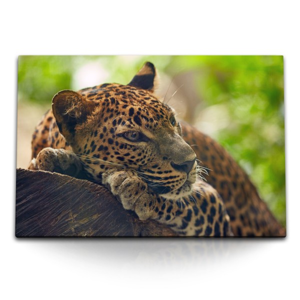 120x80cm Wandbild auf Leinwand Jaguar im Dschungel Tierfotografie Raubkatze Grün