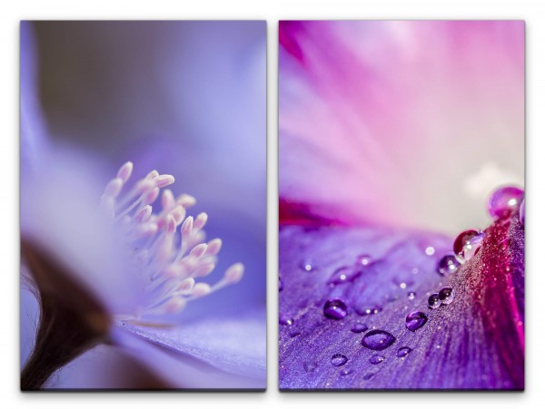 2 Bilder je 60x90cm Blumen Blüten Regentropfen Erfrischend Farbenfroh Dekorativ Makrofotografie