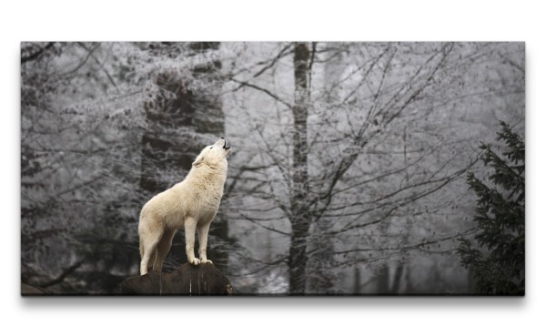 Leinwandbild 120x60cm Weißer Wolf Wald schönes Tier Alpha Natur Wild