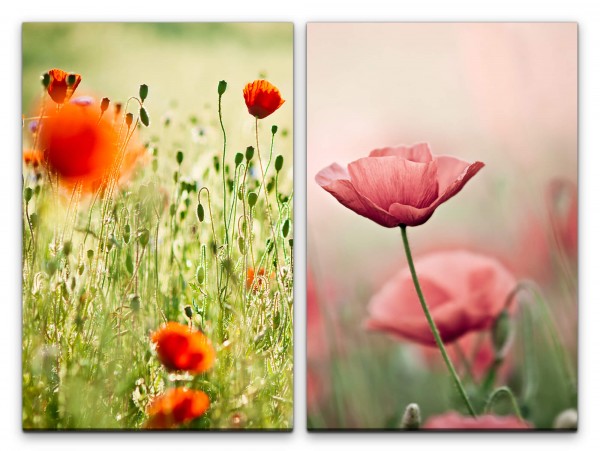 2 Bilder je 60x90cm Mohnblume Mohnfeld Sommer Blumen rote Blüten Natur Flora