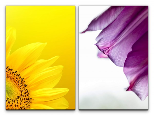2 Bilder je 60x90cm Sonnenblume Gelb Makro Blumen Blüte Violett Sommer