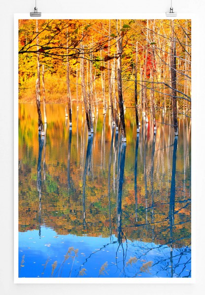 Bild  Blauer Teich mit Herbstbäumen aus Biei 60x90cm Poster