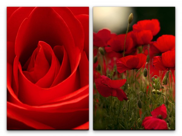 2 Bilder je 60x90cm Rose Mohnblumen Rot Liebe Romantisch Dekorativ Makrofotografie