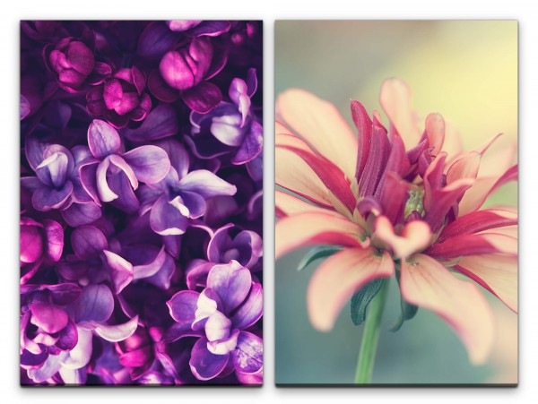 2 Bilder je 60x90cm Orchideen Blüten Blumen Duftend Sanftmut Sommer Dekorativ