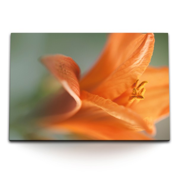 120x80cm Wandbild auf Leinwand Orange Lilie Blüte Blume Makrofotografie Kunstvoll