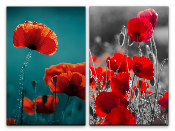 2 Bilder je 60x90cm Mohnblumen rote Blumen Sommer Dekorativ Fotokunst Flora Entspannend