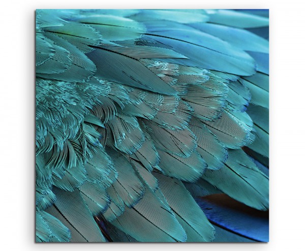 Naturfotografie – Flügel eines türkisen Aras auf Leinwand