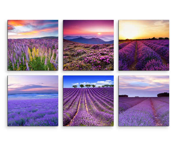 6 teiliges Leinwandbild je 30x30cm - Lavendelfeld Sommer Blumen Sonnenuntergang