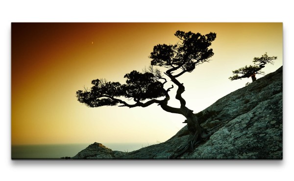 Leinwandbild 120x60cm Einsamer Fels Baum Abendröte roter Himmel Beruhigend Fine Art