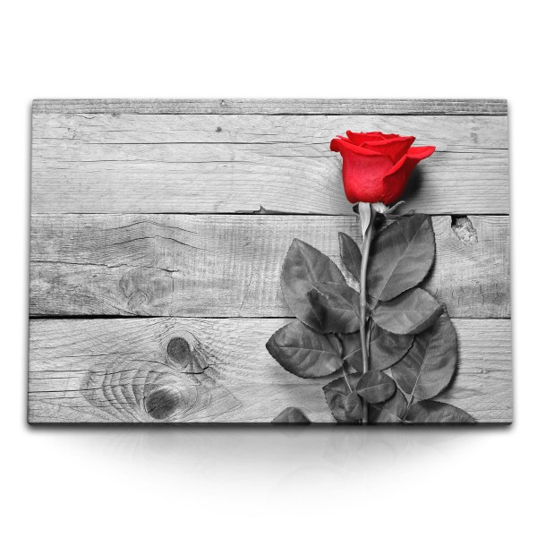 120x80cm Wandbild auf Leinwand Fotokunst Rose rote Blume Schwarz Weiß Holz