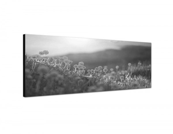 150x50cm Blumenwiese Morgenlicht Frühling