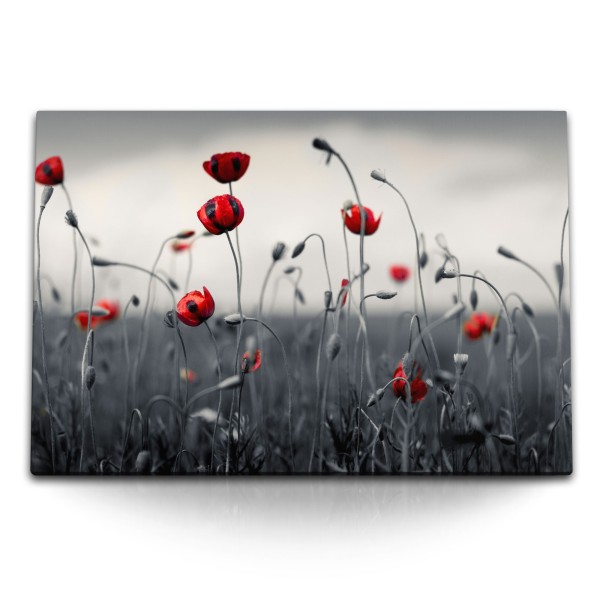 120x80cm Wandbild auf Leinwand Rote Blumen Feldblumen Wildblumen Mohn
