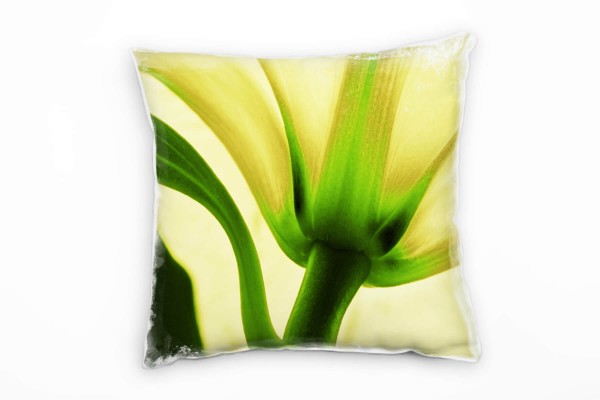 Blumen, Macro, weiß, grün, Lilie von unten Deko Kissen 40x40cm für Couch Sofa Lounge Zierkissen