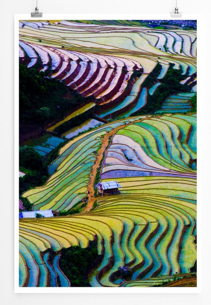 90x60cm Poster Vietnamesische Reisfelder