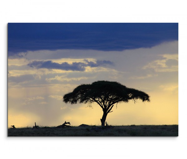 120x80cm Wandbild Afrika Savanne Baum Abenddämmerung