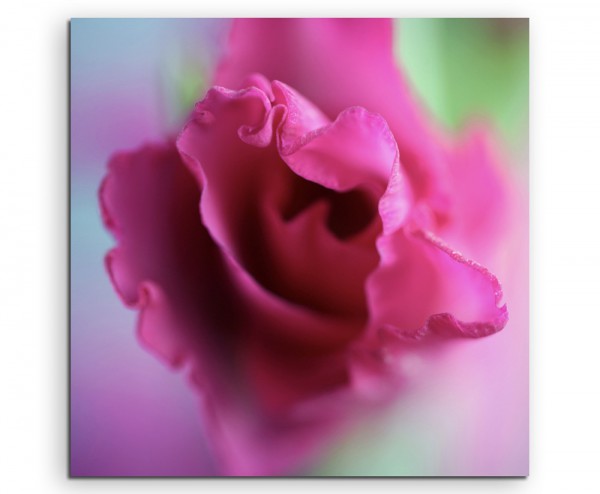 Naturfotografie  Pinke Blüte auf Leinwand exklusives Wandbild moderne Fotografie für ihre Wand in v