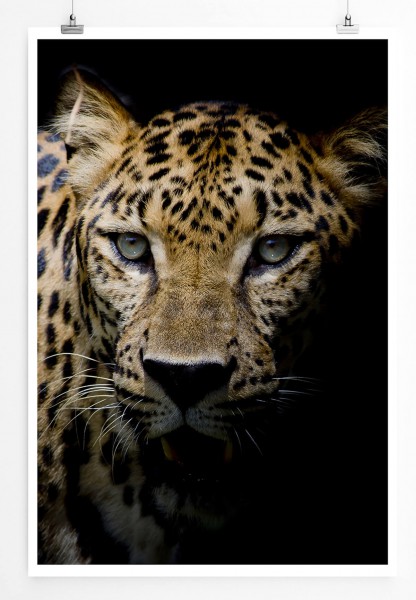 Leopard mit grünen Augen 60x90cm Poster