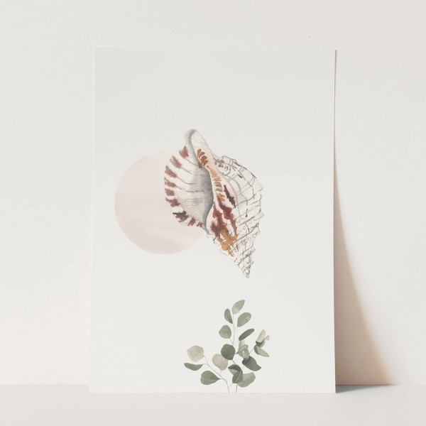 Wandbild Seemuschel Muschel Pflanzen Wasserfarben Pastellton