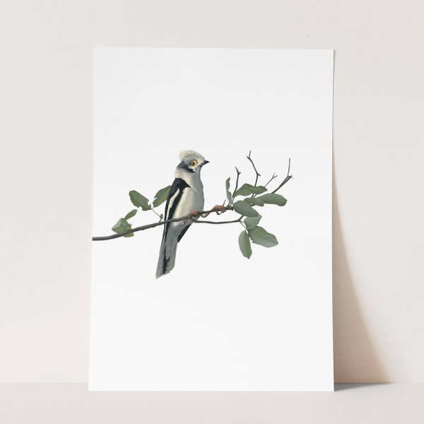 Vogel Motiv Singvogel Ast Eukalyptus Blumen Kunstvoll