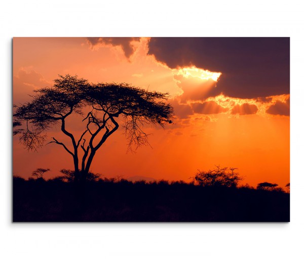 120x80cm Wandbild Afrika Baum Sonnenuntergang Wolken