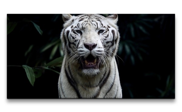 Leinwandbild 120x60cm Weißer Tiger schönes Tier Wild Tierfotografie