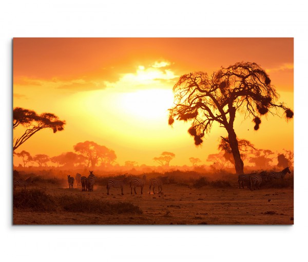 120x80cm Wandbild Kenia Akazien Wildtiere Sonnenuntergang