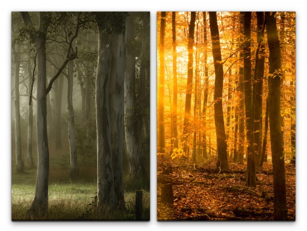 2 Bilder je 60x90cm Wald Bäume Sonnenschein Herbst Laub warmes Licht Friedlich