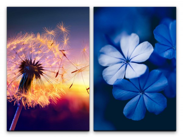 2 Bilder je 60x90cm Pusteblume Sommer Blumen Blau Sonnenstrahlen Abenddämmerung Makrofotografie