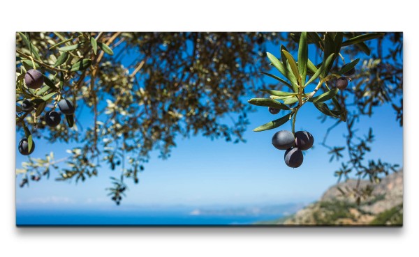 Leinwandbild 120x60cm Mittelmeer Sommer Olivenbaum Oliven Italien
