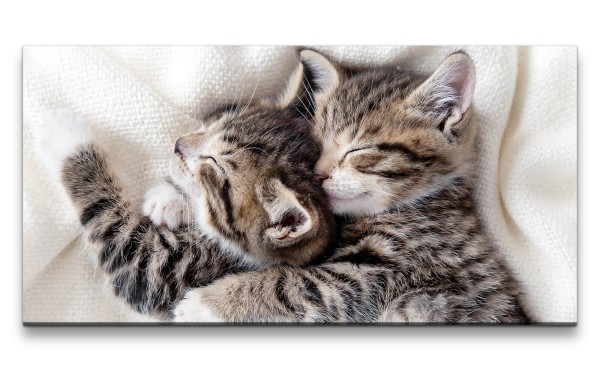 Leinwandbild 120x60cm Kleine süße Kätzchen Lieb Herzlich Flauschig Lustig