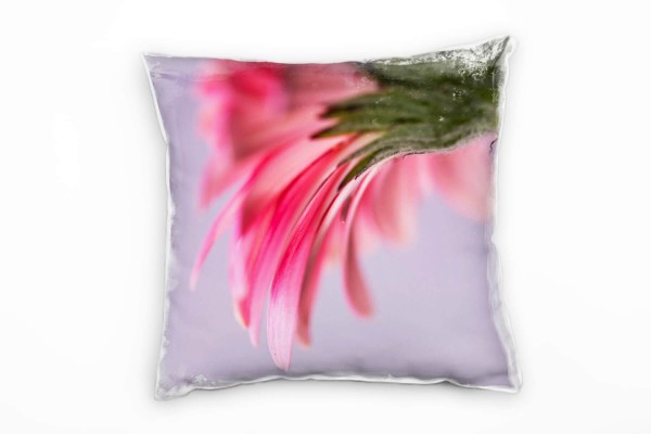 Macro, Blumen, Blütenblätter, pink, lila Deko Kissen 40x40cm für Couch Sofa Lounge Zierkissen