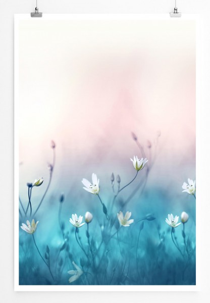 60x90cm Poster Naturfotografie  Wiese mit weißen Blumen