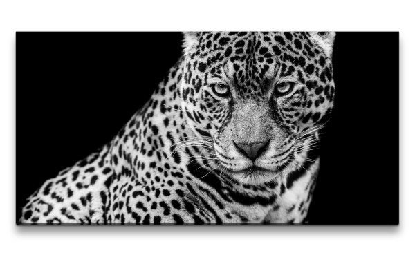 Leinwandbild 120x60cm Leopard Raubkatze Großkatze Schwarz Weiß Tierfotografie