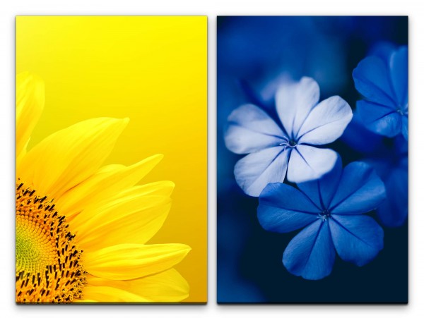 2 Bilder je 60x90cm Sonnenblume Blumen Gelb Blau Makro Frisch Sommer