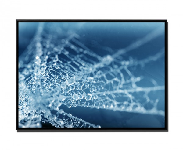 105x75cm Leinwandbild Petrol Makroaufnahme Spinnennetz Wassertropfen