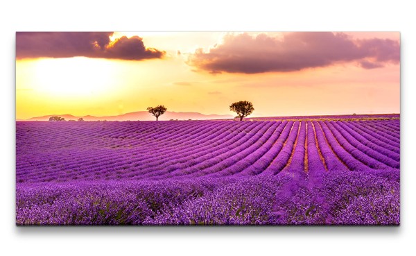 Leinwandbild 120x60cm Lavendelfeld Natur Horizont Himmel Schön