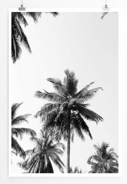 Naturfotografie 60x90cm Poster Kokospalmen mit Himmel