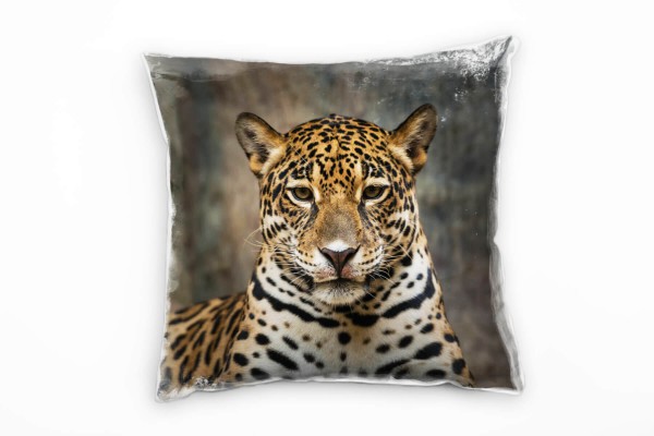 Tiere, Tiger , braun, grau, beige, Hochauflösend Deko Kissen 40x40cm für Couch Sofa Lounge Zierkisse
