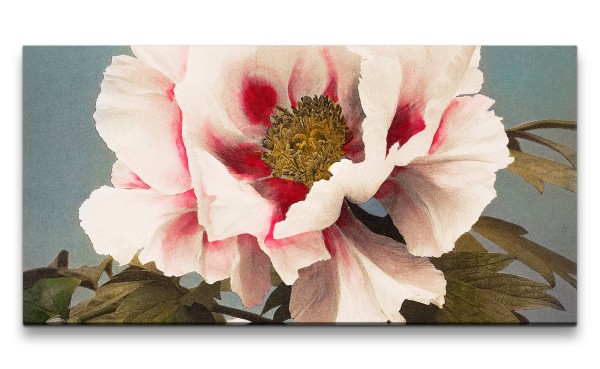 Remaster 120x60cm Ogawa Kazumasa berühmte Fotografie Pfingstrose Blume Blüte Frühling