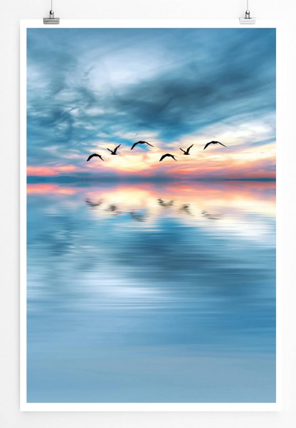 60x90cm Landschaftsfotografie Poster Vögel zwischen Himmel und Meer